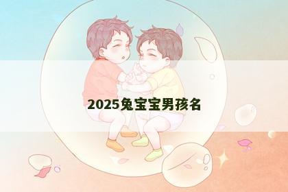 2025兔宝宝男孩名