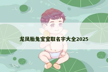 龙凤胎兔宝宝取名字大全2025