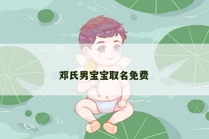 邓氏男宝宝取名免费