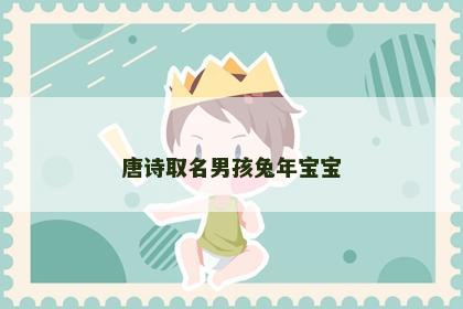 唐诗取名男孩兔年宝宝