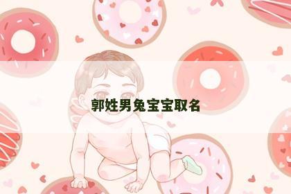 郭姓男兔宝宝取名