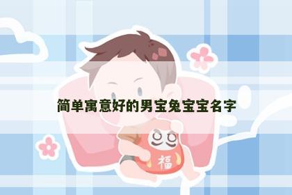 简单寓意好的男宝兔宝宝名字
