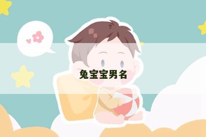 兔宝宝男名