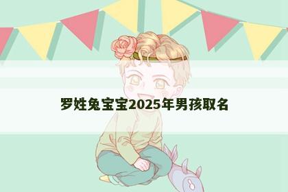 罗姓兔宝宝2025年男孩取名