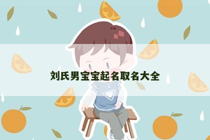 刘氏男宝宝起名取名大全