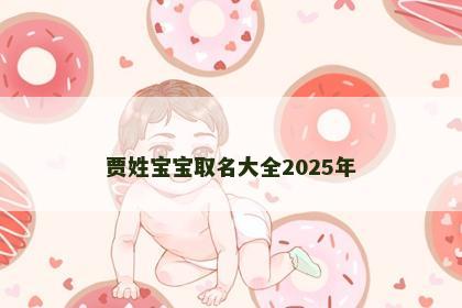 贾姓宝宝取名大全2025年