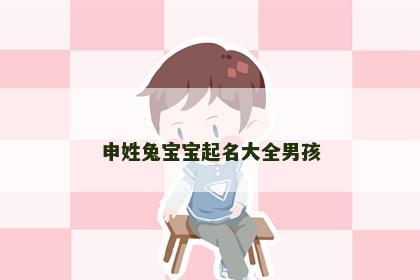 申姓兔宝宝起名大全男孩