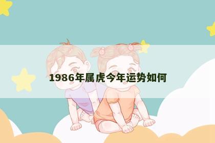 1986年属虎今年运势如何