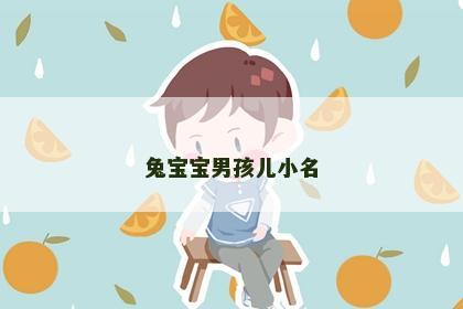 兔宝宝男孩儿小名