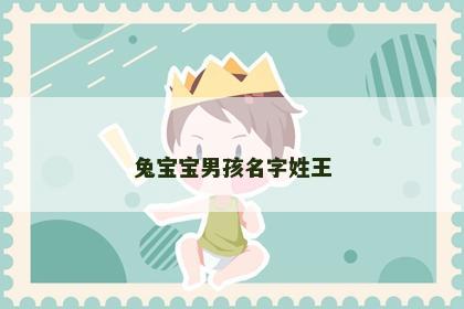 兔宝宝男孩名字姓王