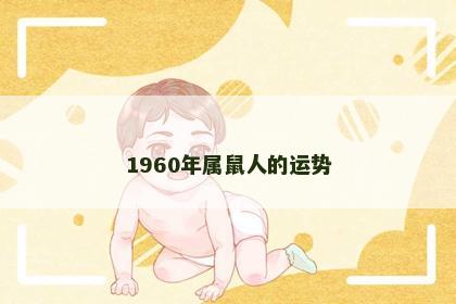 1960年属鼠人的运势