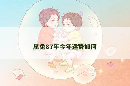 属兔87年今年运势如何