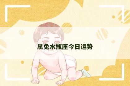 属兔水瓶座今日运势
