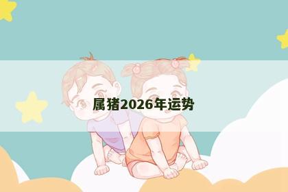 属猪2026年运势