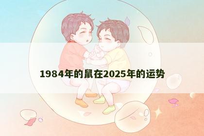 1984年的鼠在2025年的运势