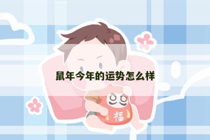 鼠年今年的运势怎么样