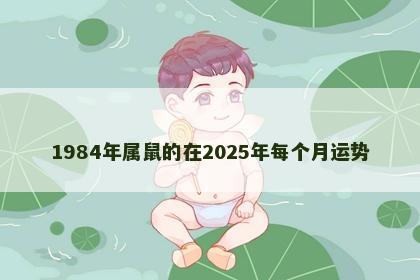 1984年属鼠的在2025年每个月运势