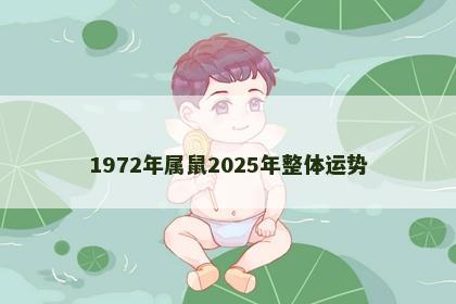 1972年属鼠2025年整体运势