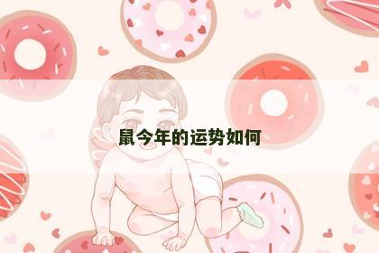 鼠今年的运势如何