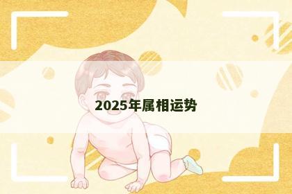 2025年属相运势