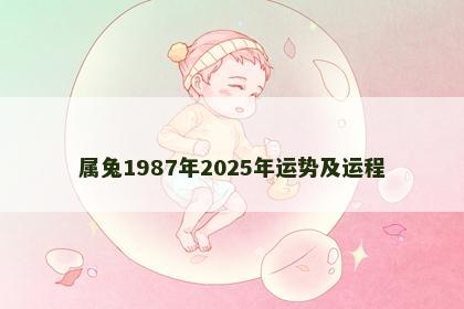 属兔1987年2025年运势及运程