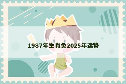 1987年生肖兔2025年运势