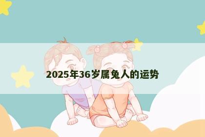 2025年36岁属兔人的运势