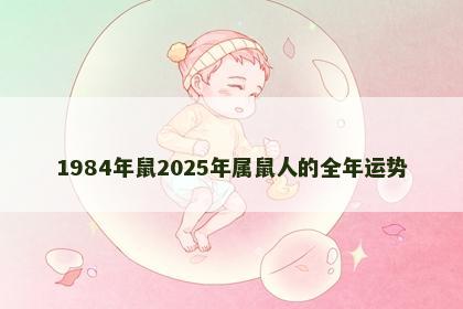1984年鼠2025年属鼠人的全年运势