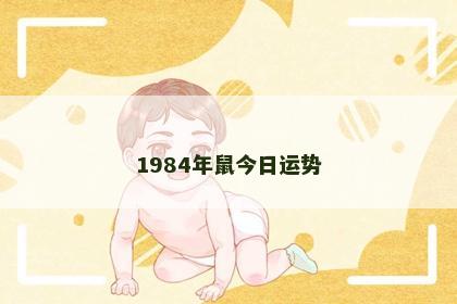 1984年鼠今日运势