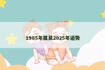 1985年属鼠2025年运势