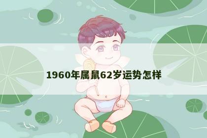 1960年属鼠62岁运势怎样