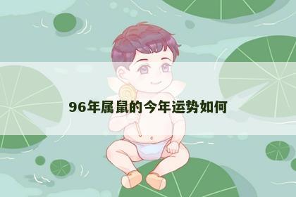 96年属鼠的今年运势如何
