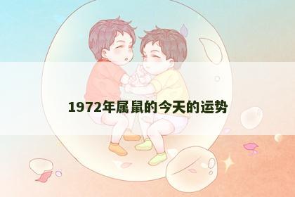 1972年属鼠的今天的运势