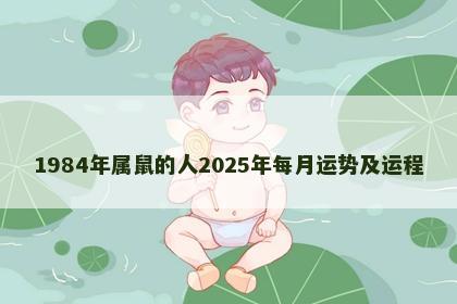 1984年属鼠的人2025年每月运势及运程