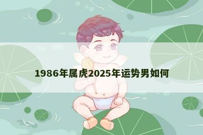 1986年属虎2025年运势男如何