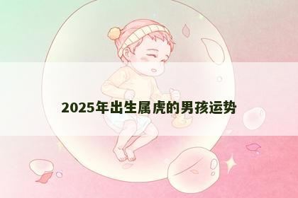 2025年出生属虎的男孩运势