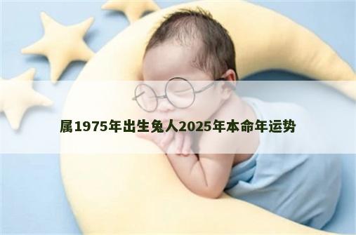 属1975年出生兔人2025年本命年运势