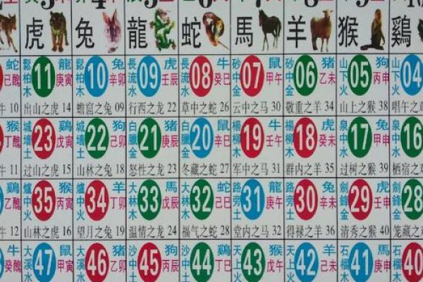 最新汇总：韶光似箭最准确的生肖,标准词语解释最佳全面精选释义