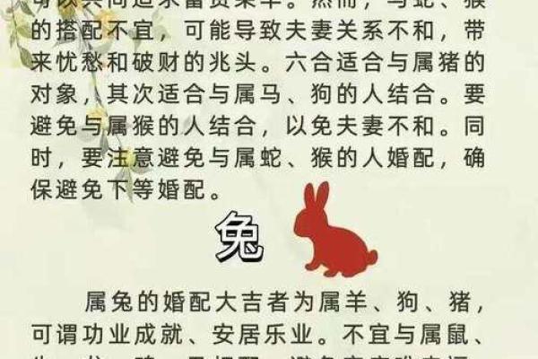 最新汇总：韶光似箭最准确的生肖,标准词语解释最佳全面精选释义