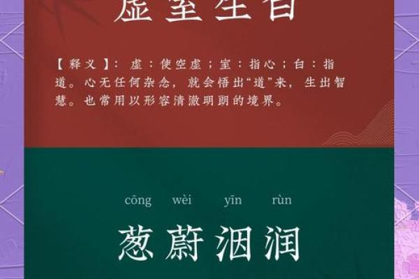 滚动：注玄尚白是什么生肖,详细词语解读落实最佳精选解释
