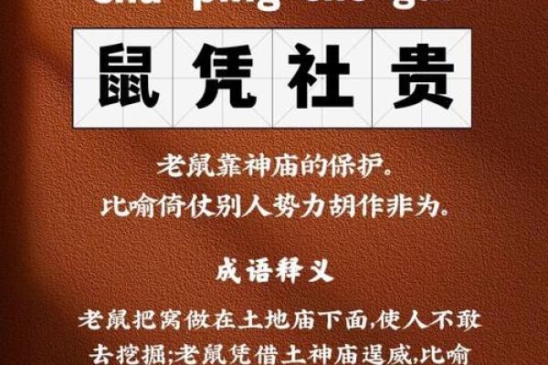 日记：易放难收是什么生肖,终极成语释义精选解析最佳全面