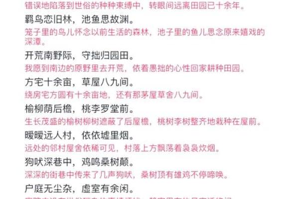 最新刷新完整版：乡土难离是指什么生肖,重点词语剖析落实精选最佳释义
