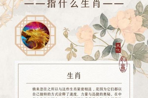 最新曝光:丝丝入扣是什么生肖,必看词语释义精选解析最佳全面 最新曝光:丝丝入扣是什么生肖,必看词语释义精选解析最佳全面