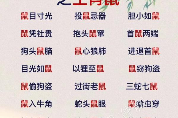 独家披露：韶光似箭代表什么生肖,仔细成语解释最佳全面精选释义