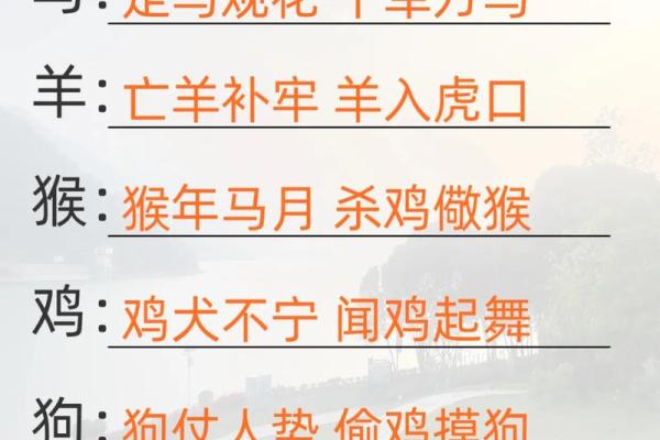 最新刷新同步更新：小肚鸡肠是什么生肖,精彩成语剖析最佳全面精选解析