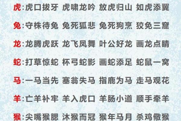 追踪更新：翩翩起舞是什么生肖,厉害词语释义全面解答精选解析
