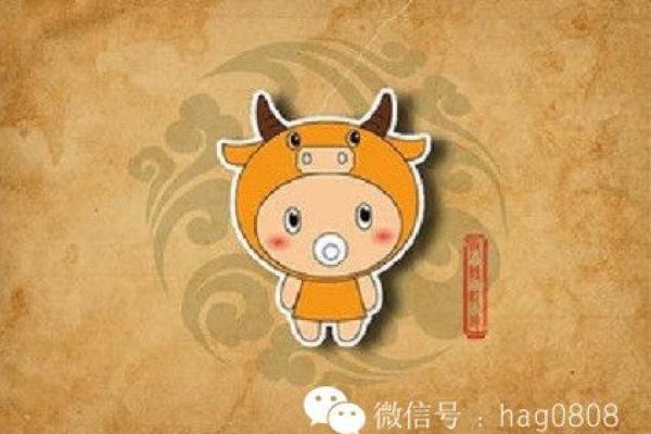 确认：多多益善是什么生肖,经典词语释义解析全面精选最佳