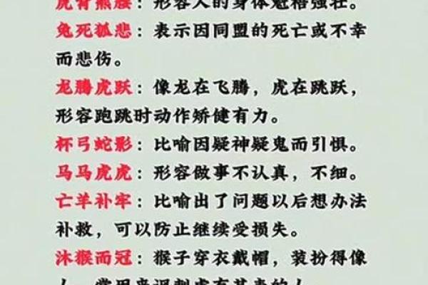 最新花絮：义结金兰代表什么生肖,快速成语剖析最佳全面精选解答