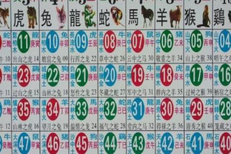 最新汇总：韶光似箭最准确的生肖,标准词语解释最佳全面精选释义