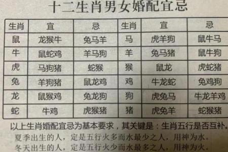 滚动：注玄尚白是什么生肖,详细词语解读落实最佳精选解释
